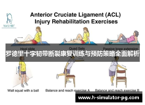 罗德里十字韧带断裂康复训练与预防策略全面解析